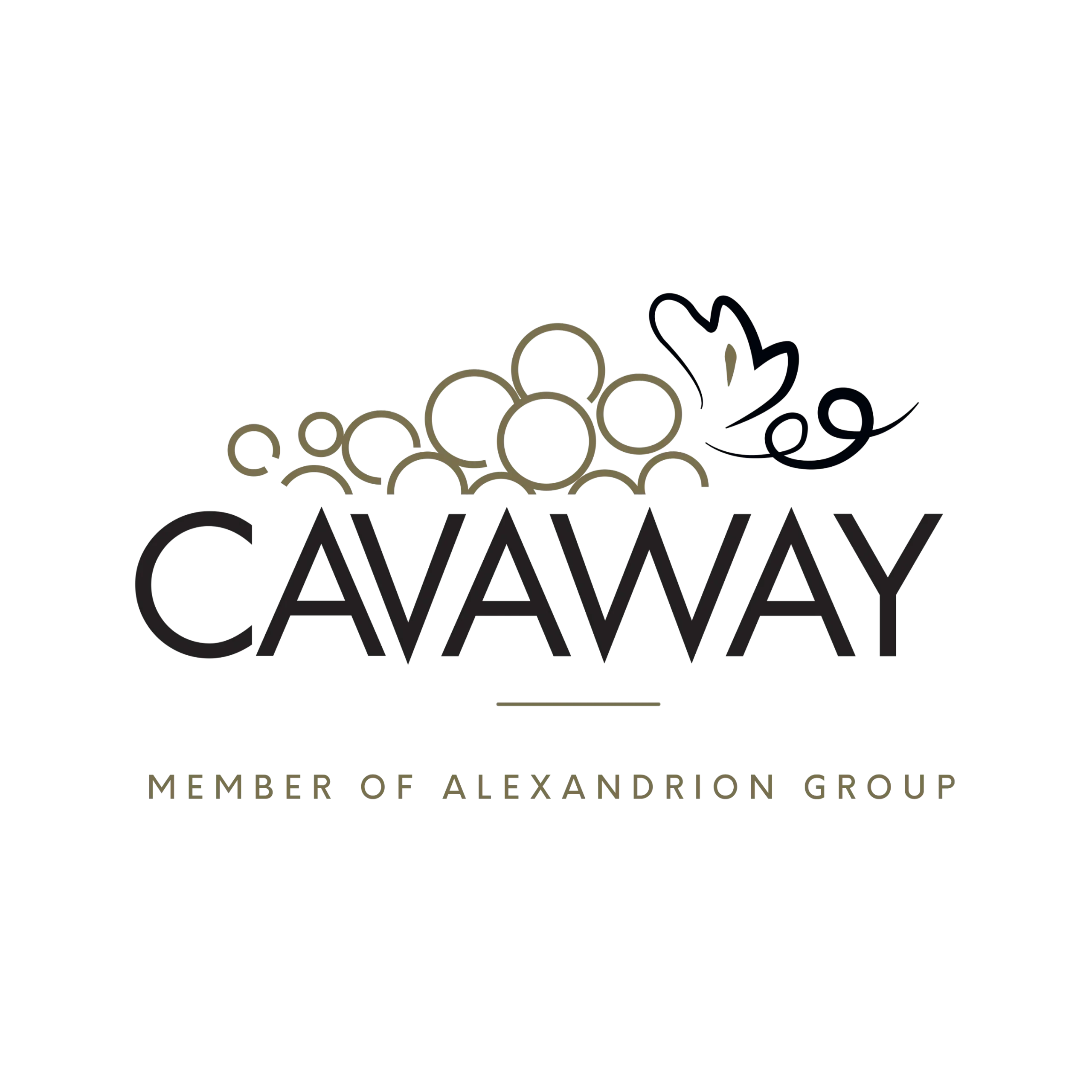 client-logo28